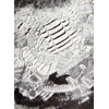 Blatt 9